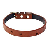 Collar De Piel Para Perro Y Gato