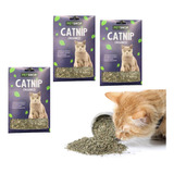 Catnip Menta Para Gatos Hierba Gatuna 3 Unidades