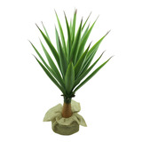 Suculenta Verde Toque Real Planta Agave 90cm Folhagem