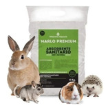 Nelsoni R. Marlo Sanitario Roedor Cobayo Hamster Conejo 4k.