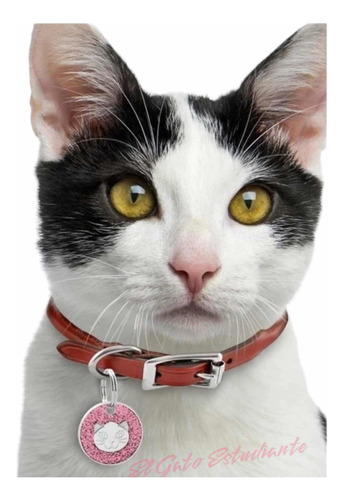 Placa De Identificación Mascota Perro/gato+grabado Gratis 