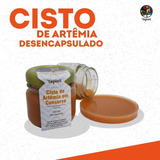 Cisto De Artemia Desencapsulado Em Conserva - Yepist