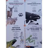 Pack 4 Guias Desplegables.mamiferos/reptiles/insectos.