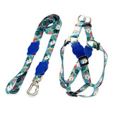 Kit Para Cachorros Grande Porte Guia + Peitoral Sunny Blue