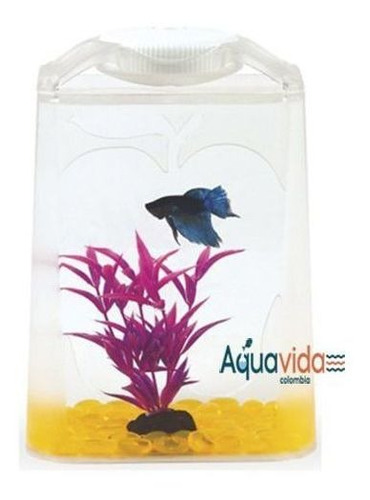 Acuario Importado Para Bettas Bt20 Con Luz