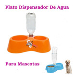Comedero Y Dispensador De Agua Gato O Perro Plato 2 En 1
