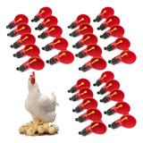 30 Bebederos Automáticos For Aves, Gallinas, Codornices,