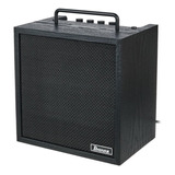 Amplificador Ibanez Ibz10bv2 Para Bajo Electrico De 10w