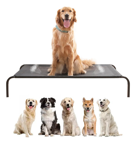 Kit Cama Para Cachorro Pets Grande Suspensa 90*60*17 Cm