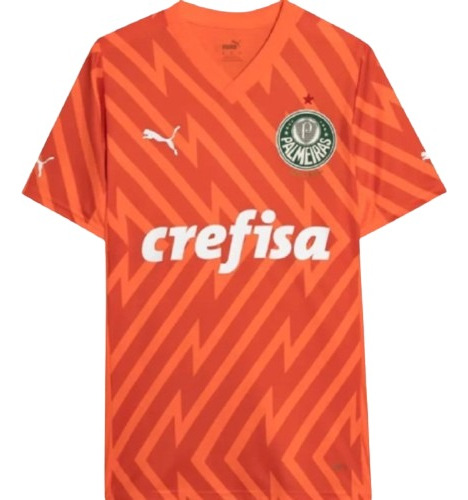 Camiseta Puma Palmeiras Torcedor Gk Third Jersey 24