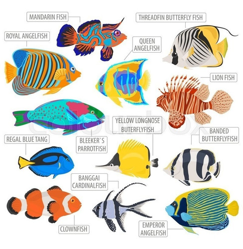 Catalogo De Existencias De Peces Marinos Pdf