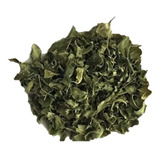 Hoja De Moringa Té De Alta Calidad Premium 50 Gr