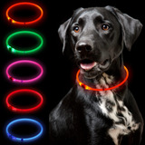 Collar Led Para Perro, Collar Para Perro Para Caminar, Colla