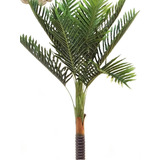 Planta Palmera 150 Cm (aprox.)