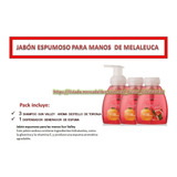 3 Jabón Espumoso Manos Toronja 237ml + 1 Aplicador Melaleuca