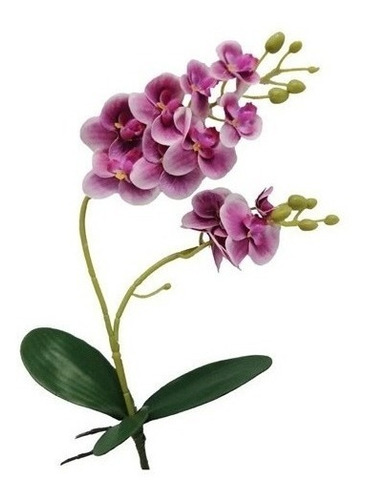 Kit 5 Orquídeas Artificial Siliconada Com Folhas Decoração