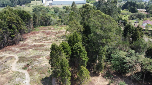 Lote Industriall Para La Venta En Guarne