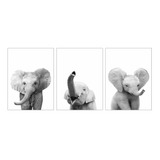 Set De Impresiones Fotográficas Baby Elephants Para Enmarcar