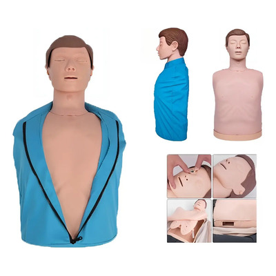 Modelo De Maniquí Adulto Para Formación En Primeros Auxilios | Meses sin interés