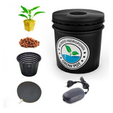 Hidroponia Balde Hidro Tacho 10l Dwc Grow Pot