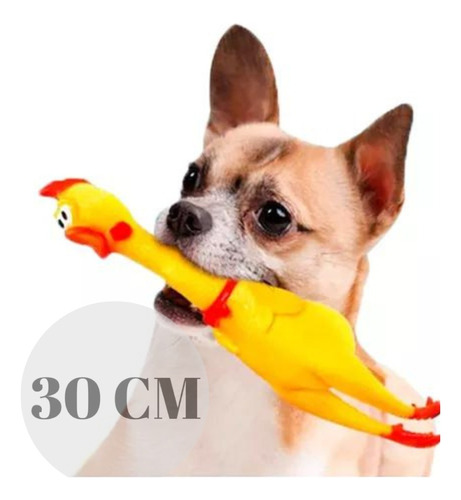 Brinquedo Pet Mordedor Frango Som Galinha 16cm Cachorro Full