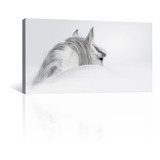 Cuadro Decorativo Animales Canvas Caballo Blanco En La Nieve