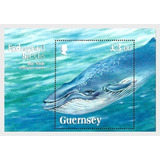 2011 Fauna En Peligro- Ballena Azul - Guernsey (bloque) Mint