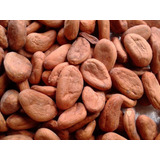 Granos De Cacao Seco De Chiapas 100% Natural X 10kg