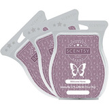 Scentsy, Welcome Home, Scentsy Bar, Wickless Candle Tart War