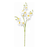 Galho Orquidea Cymbidium 10 Flores - Branca 86cm