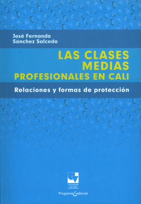 Las Clases Medias Profesionales En Cali Relaciones Y Formas 