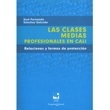 Las Clases Medias Profesionales En Cali Relaciones Y Formas 