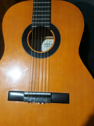 Guitarra Española Sin Funda