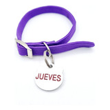 Chapita Para Gatos Con Forma De Gato+collar  Violeta 1cm