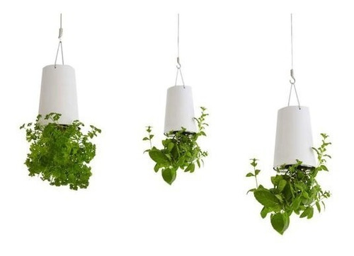 Vaso Invertido Sky Planter