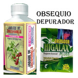 Zarzaparrilla 360 Ml - mL a $53