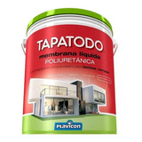 Tapatodo Membrana Liquida Poliuretanica 20kg - Rex Color Rojo