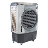Climatizador Portátil Frio Ventisol Cli 45 Pro Branco/cinza 