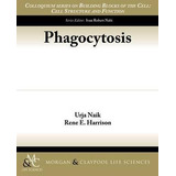 Phagocytosis - Urja Naik (paperback)