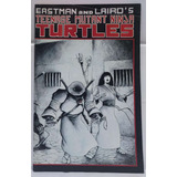 Comic Teenage Mutant Ninja Turtles Tmnt #17 1989 X-men Punk