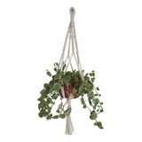 Suporte De Planta Vasos Macramê Plant Hanger 80cm