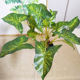 Planta Artificial 51cm Decoracion Hogar