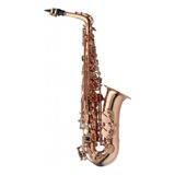 Saxo Alto Stagg Eb Levante Lvas4105 High F Con Estuche