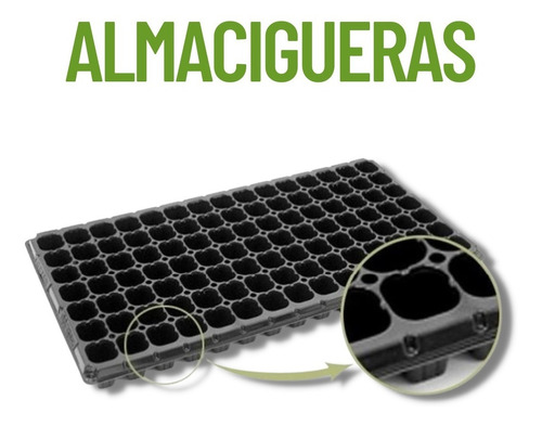 Almaciguera, Germinación 200 Cavidades 