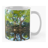 Taza El Espejo Pantanal - Humedales - Brasil - América Del S