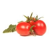 Nutrientes Para Etapa De Floración O Fructificación Tomate