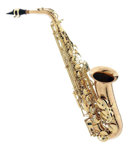Saxofone Alto Profissional Eagle Sax510 Em Bronze Com Estojo