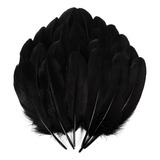 Plumas Ganso Pavo Decorativa Naturales Con 50 Plumas 15-20cm Color Negro