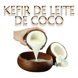 Kefir Vegano De Leite De Coco  Iogurte Natural Vegetal