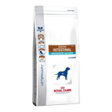 Royal Canin Intestinal Moderate Calories X 10 Kg - Drovenort